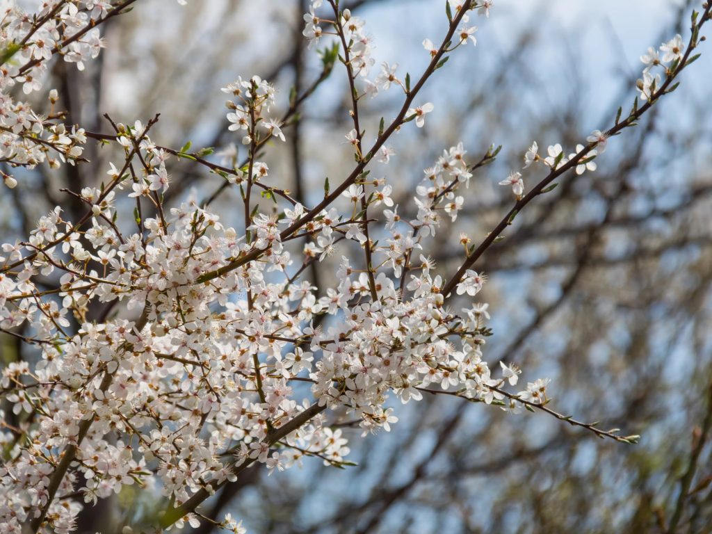 В Украине испортится погода: синоптик назвала самые холодные дни на предстоящей неделе