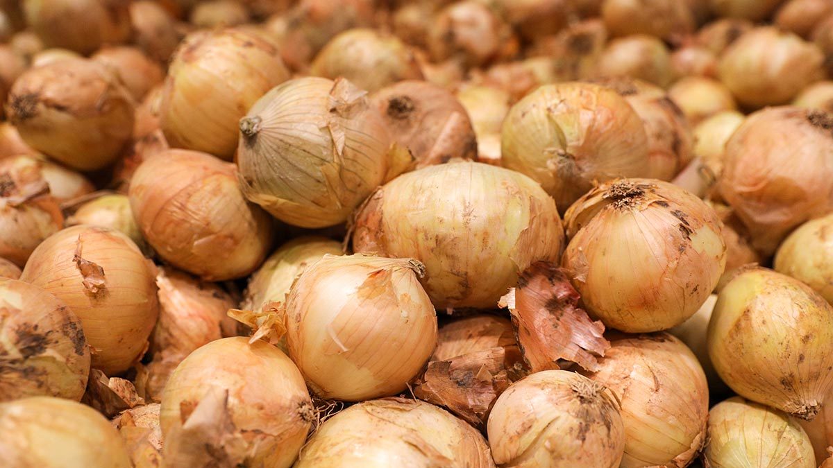 В Україні почала дорожчати цибуля: відомі причини