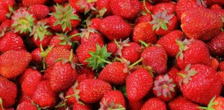 В Україні розпочався сезон полуниці та черешні: ціни на ягоди побили всі рекорди - today.ua