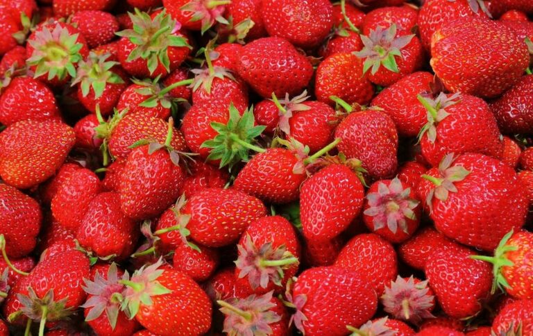 В Украине начался сезон клубники и черешни: цены на ягоды побили все рекорды - today.ua