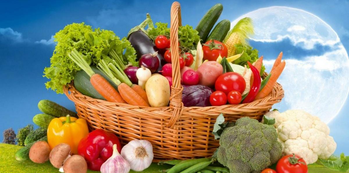 Коли не можна садити город у травні 2023: найнесприятливіші дати