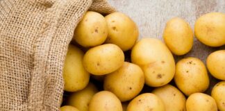 Три признака токсичности картошки: как на глаз выбрать овощ в магазине - today.ua