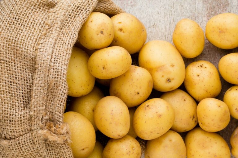 Три ознаки токсичності картоплі: як на око обрати овоч в магазині - today.ua