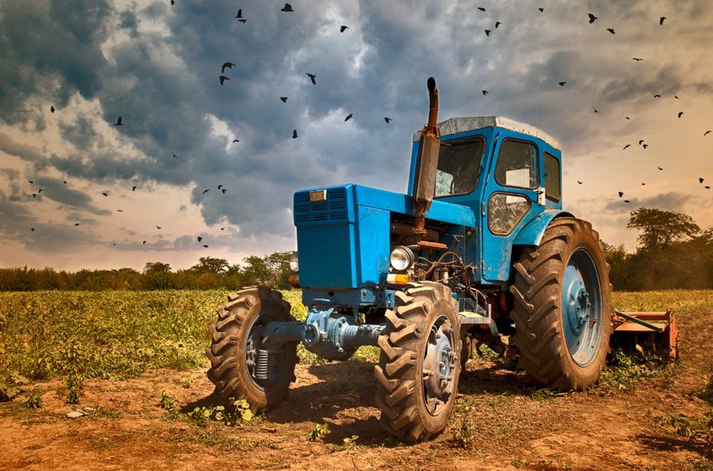 В Україні виросли зарплати в аграрній сфері: яких фахівців не вистачає, і скільки можна отримувати