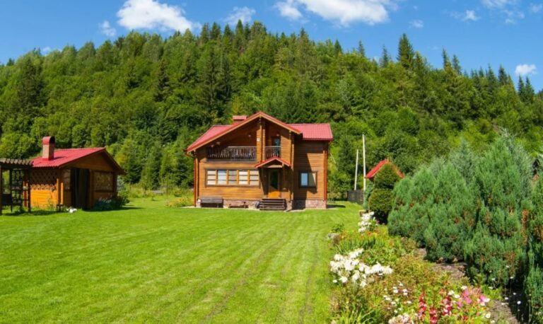 В Україні 5-кімнатний будинок поряд з лісом продають за 15 тисяч гривень: фото   - today.ua