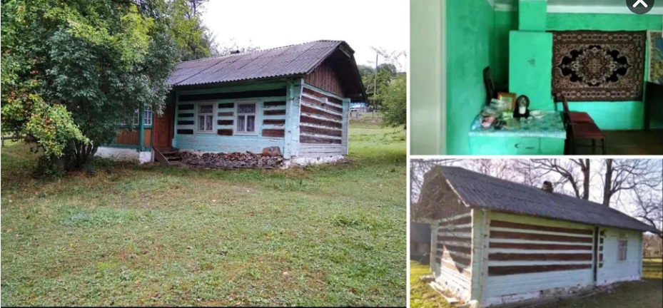 Будинок у горах із чвертю гектара землі: в Карпатах продають житло всього за 7 тисяч доларів