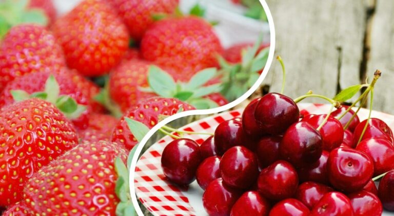 Ціни на черешню та полуницю зміняться до кінця червня, - Інститут аграрної економіки  - today.ua