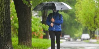 Заморозки, дощі та грози: синоптики розповіли про погоду в Україні на перший тиждень травня - today.ua