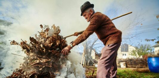 Жителям сіл та дачникам почали виписувати штрафи до 6000 грн: про що потрібно знати - today.ua