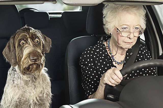 Пожилых людей будут лишать водительских прав: им придется доказывать свою способность управлять автомобилем