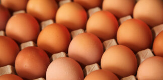 В Украине подешевели яйца, гречка и рис: в каких супермаркетах ценники ниже - today.ua