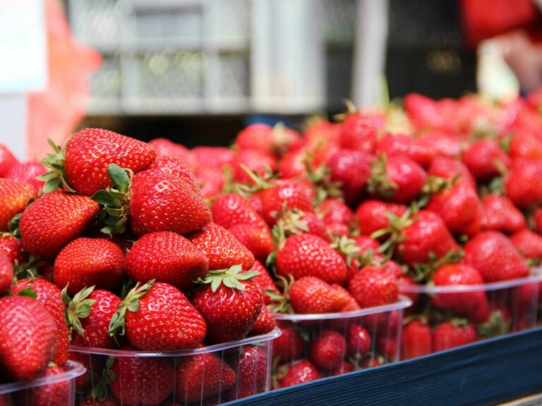Ціни на полуницю пішли вниз: скільки коштує ягода на цьому тижні - today.ua