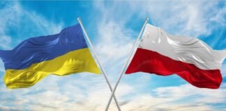 Кем работают украинцы в Польше: названы самые востребованные профессии - today.ua