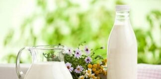 Молоко для багатого врожаю: які рослини можна поливати молочкою - today.ua