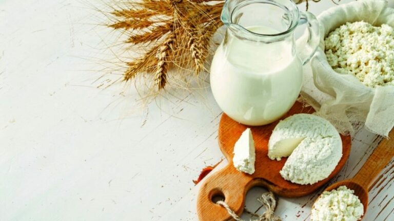 Цены на молочные продукты побили новый рекорд: сколько стоит молоко, творог, сметана и сливочное масло - today.ua