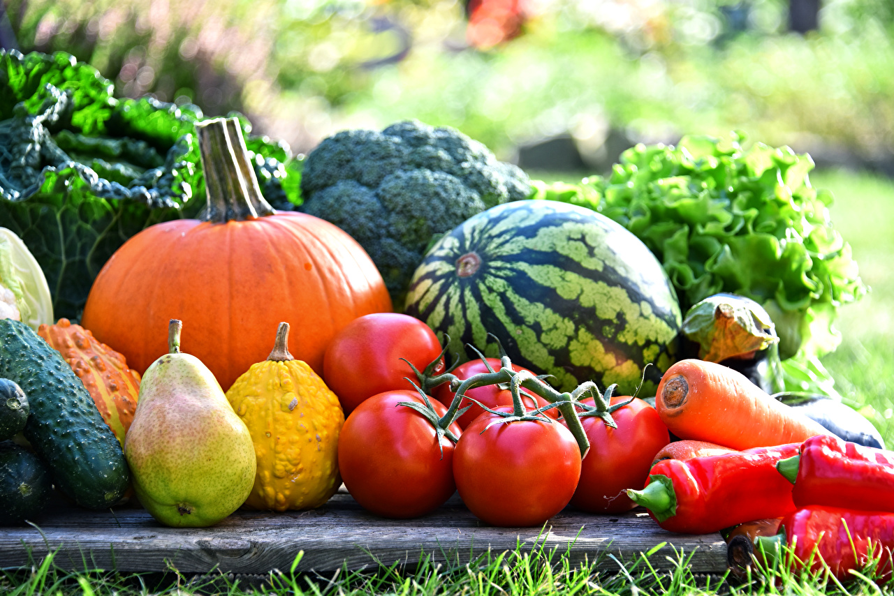 В Украине больше не будет дешевых арбузов и помидоров - today.ua