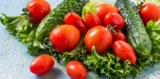 Нижче за 30 грн: у супермаркетах обвалилися ціни на огірки та помідори - today.ua