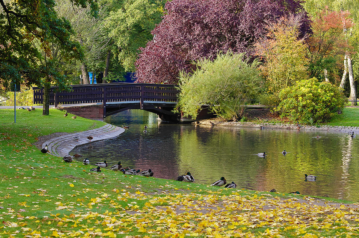 Штрафи від 1000 до 5000 євро: за що можуть покарати українців в Німеччині - today.ua