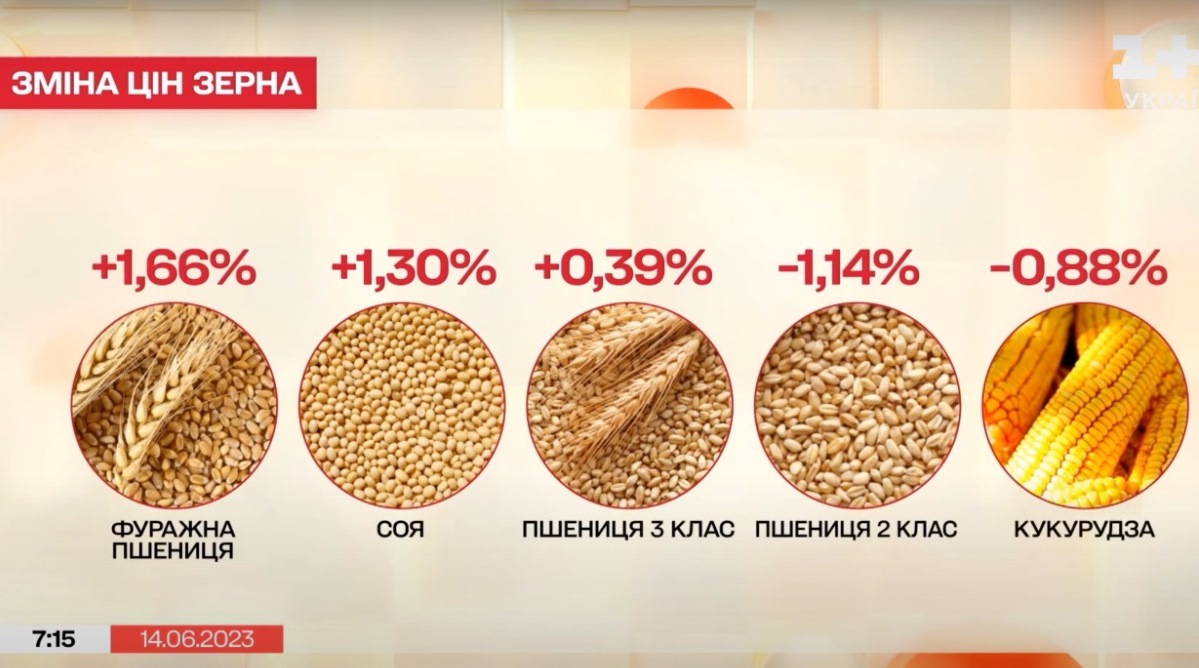 Украинцам сообщили, что будет с ценами на хлеб, овощи и фрукты после катастрофы на Каховской ГЭС