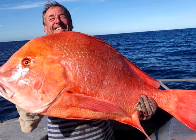 Названа самая вредная рыба, которую нельзя есть