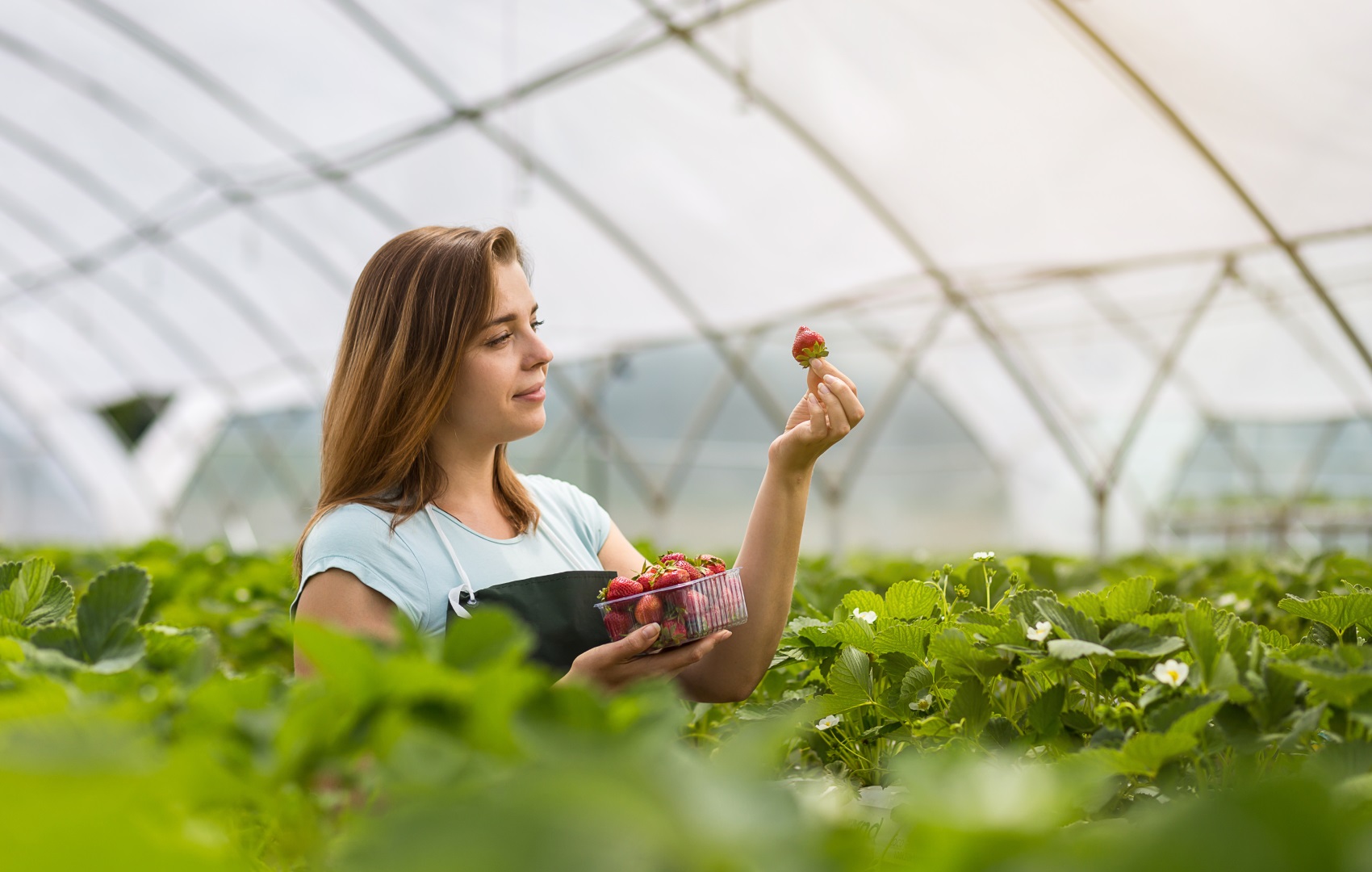 Сезонная работа в Великобритании: сколько максимально могут заработать украинцы без знания английского языка