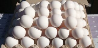 Українців чекає нове підвищення вартості яєць: коли зростуть ціни - today.ua