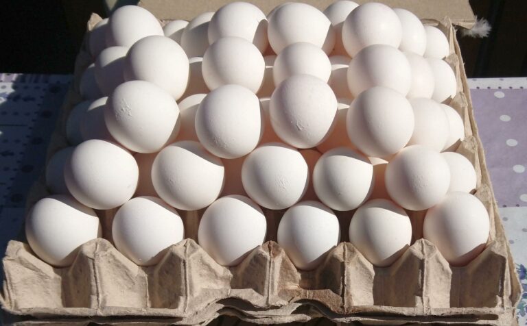 Украинцев ждет новое подорожание яиц: когда вырастут цены - today.ua