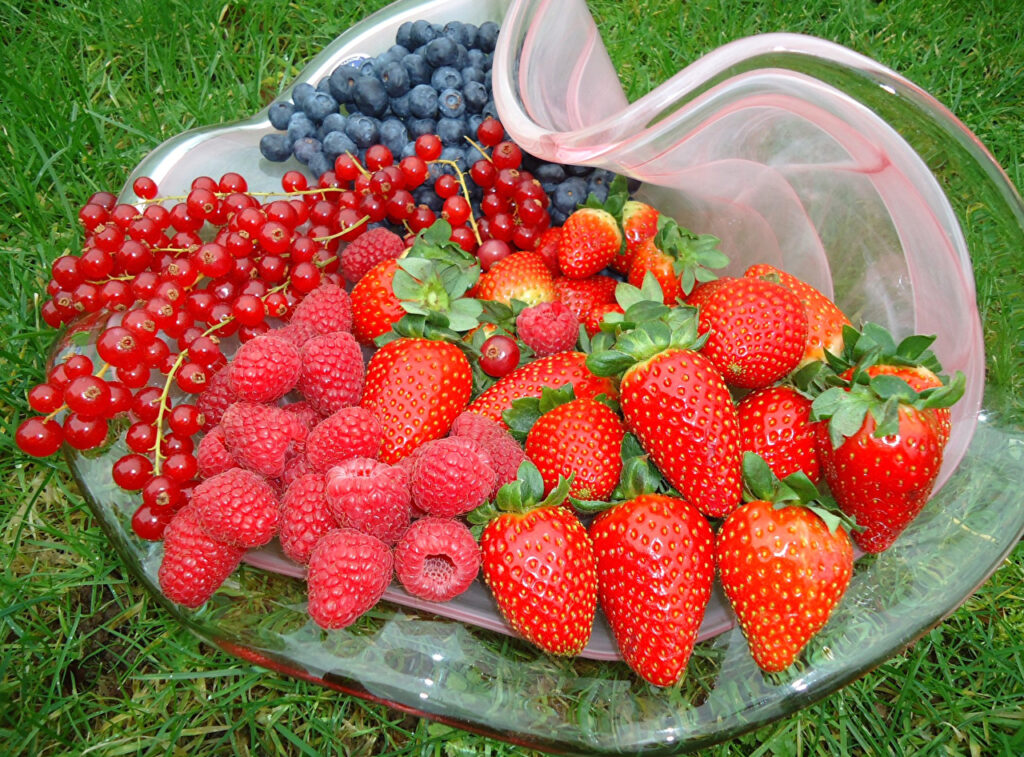 “Ягодный бунт“: польские фермеры требуют остановить поставки украинских ягод в Европу