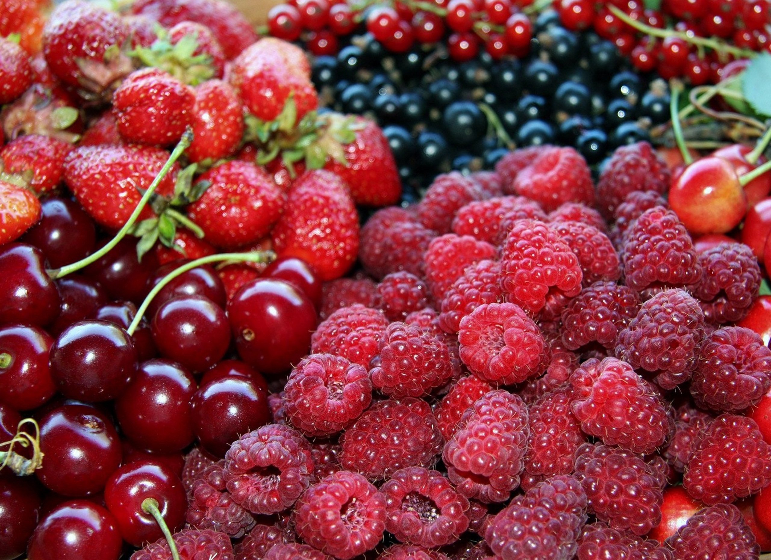 Нема кому збирати: в Україні обвалилися ціни на найкориснішу літню ягоду