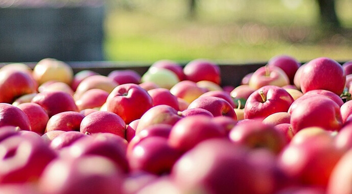 Яблоки в Украине подорожали в 2,3 раза: сколько стоят ранние фрукты  