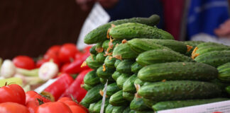 В Украине обрушились цены на огурцы, помидоры и перец: в каких супермаркетах самые дешевые овощи - today.ua