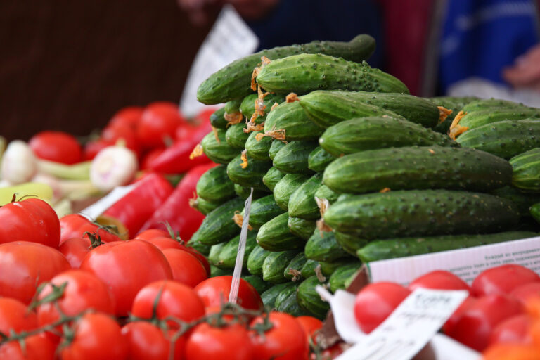 В Украине обрушились цены на огурцы, помидоры и перец: в каких супермаркетах самые дешевые овощи - today.ua