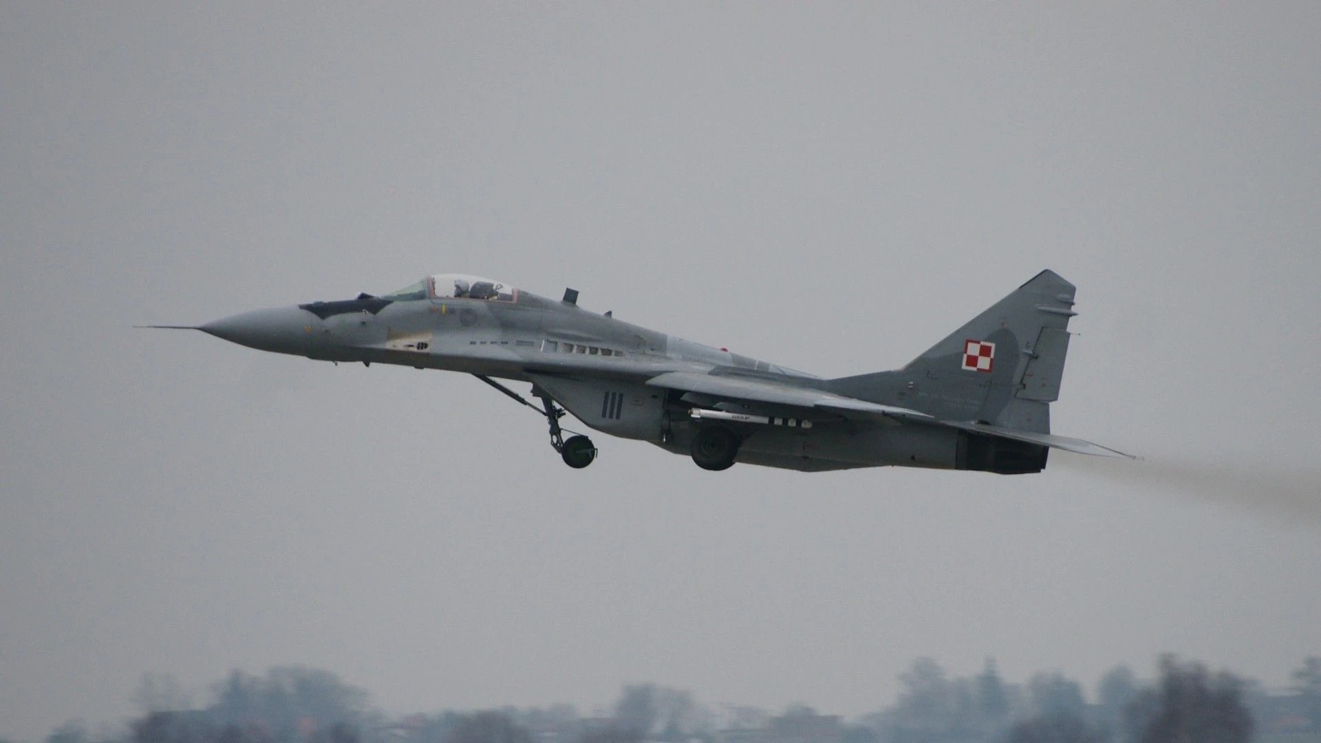 Польща може передати Україні 20 винищувачів МіГ-29