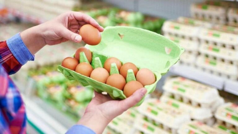 Какие магазинные яйца полезнее - С1 или С2: ответ производителей - today.ua