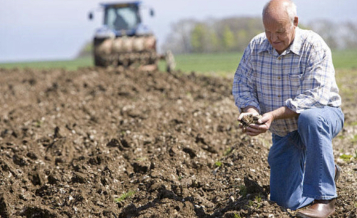 Владу просять обмежити продаж землі “в одні руки“: українські фермери можуть залишитися безземельними