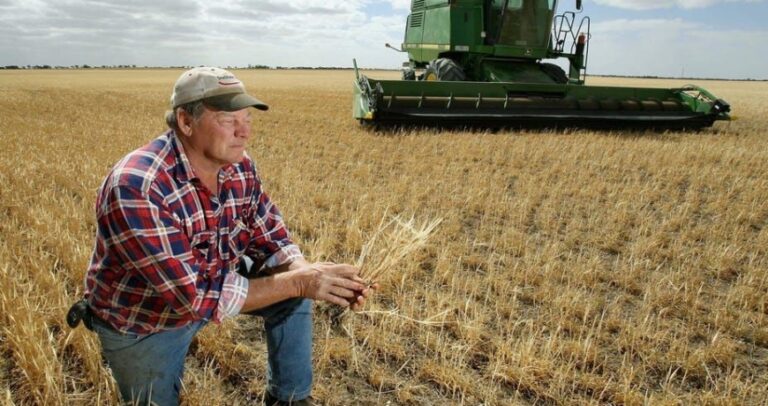 Владу просять обмежити продаж землі “в одні руки“: українські фермери можуть залишитися безземельними - today.ua