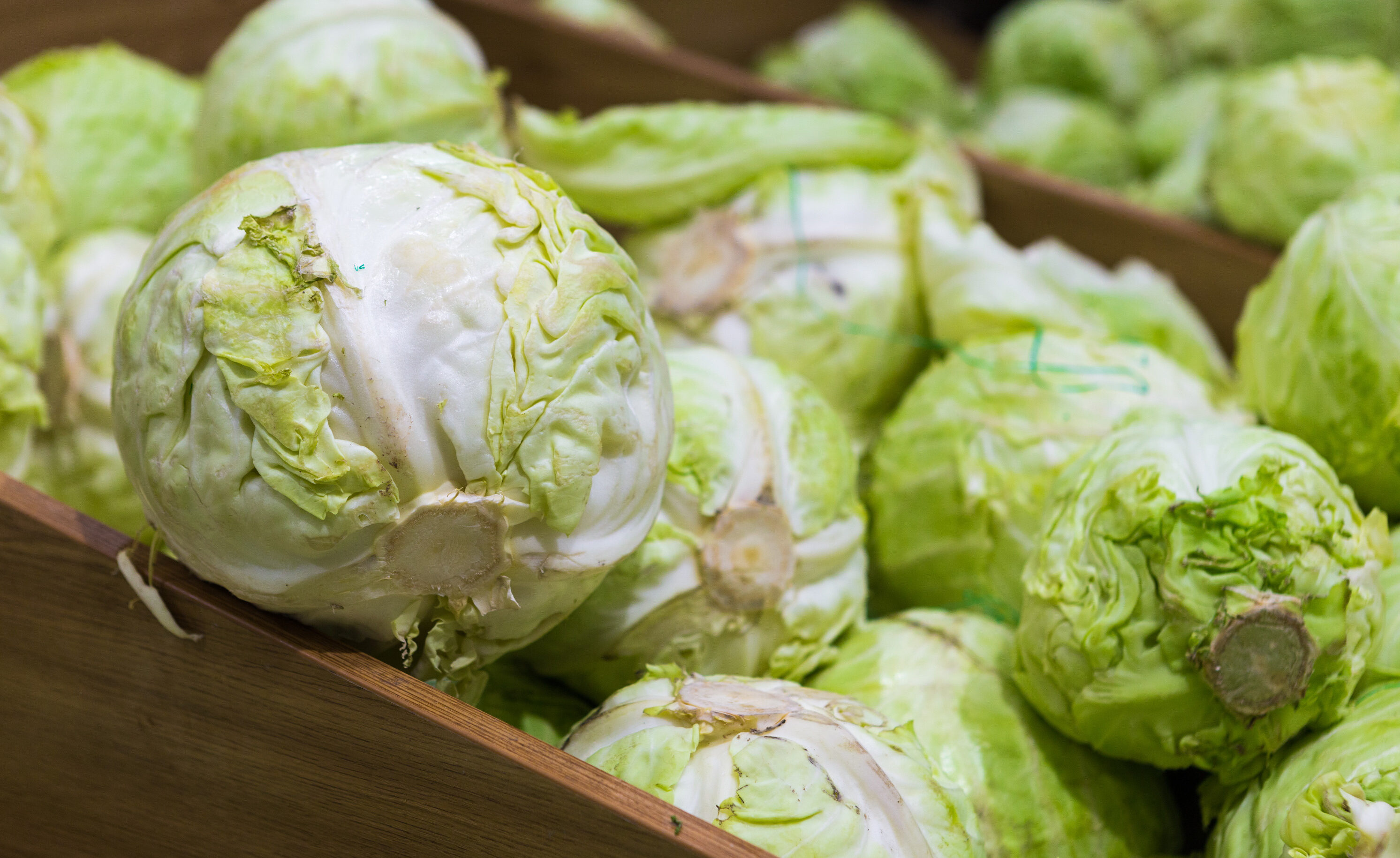 В Украине стремительно дешевеет капуста: каких цен на овощ ожидать до конца лета