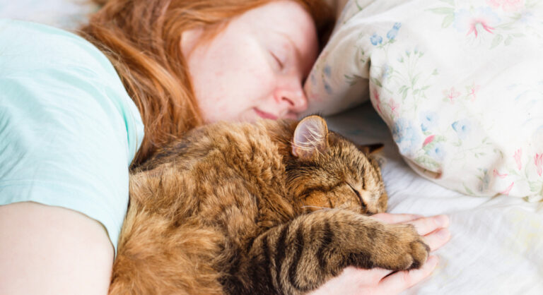 Вчені розповіли, кому не можна спати в одному ліжку з кішками - today.ua