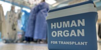 Рада готовит важный закон о трансплантации органов от погибших военнослужащих - today.ua