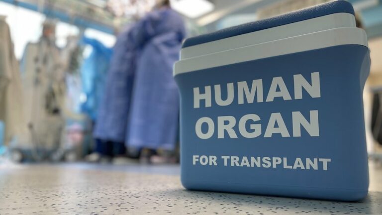 Рада готує важливий закон про трансплантацію органів від загиблих військовослужбовців - today.ua