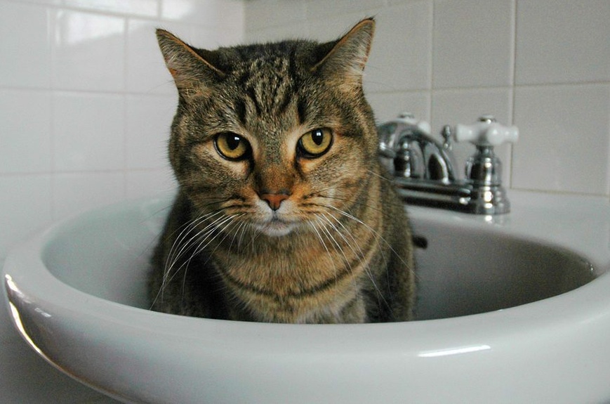 Через три дні Київ може залишитися без питної води