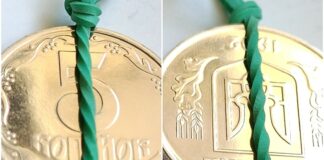 В Украине уникальную монету номиналом 5 копеек продают за 10 тыс. грн: как она выглядит - today.ua