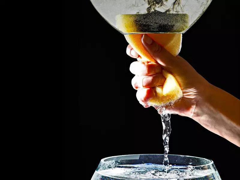 Владельцам дизельных автомобилей в Украине нужно осторожней выбирать AdBlue - today.ua