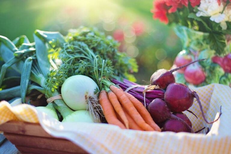Овощи борщевого набора резко подешевели: сколько стоят морковь, свекла, лук и капуста в конце лета - today.ua