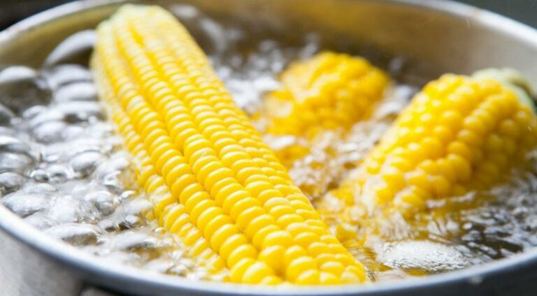 Будет сочная и нежная: раскрыт секрет правильной варки кукурузы - today.ua