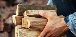 Украинцы могут получить субсидии на дрова и уголь: как оформить помощь - today.ua