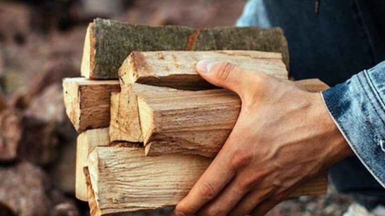 Украинцы могут получить субсидии на дрова и уголь: как оформить помощь - today.ua