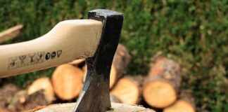 Цены на дрова в конце лета: сколько стоит подготовиться к предстоящей зиме - today.ua