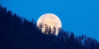 Голубая Луна: в последнюю ночь лета украинцы смогут наблюдать редкостное астрономическое явление - today.ua
