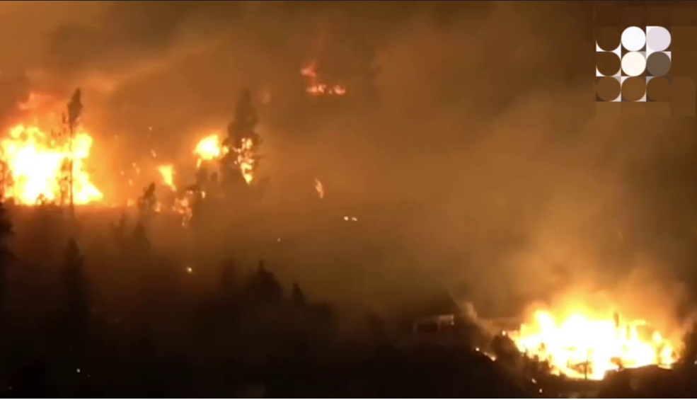 В Украине обьявлен чрезвычайный уровень опасности: из-за аномального зноя могут вспыхнуть лесные пожары